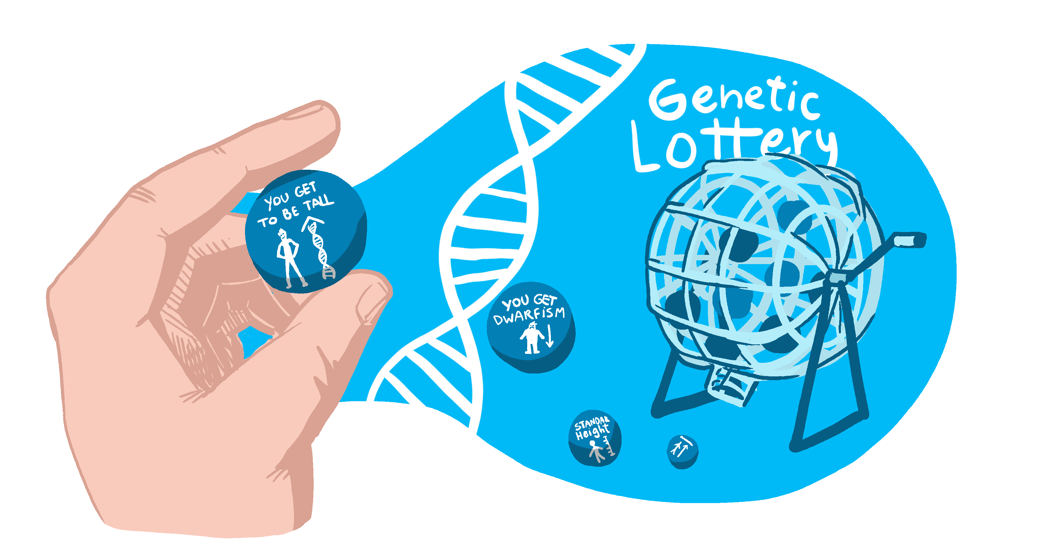 Genetic Lottery In Relation To Height Rolling The Dice 